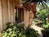 Villa Jasmine